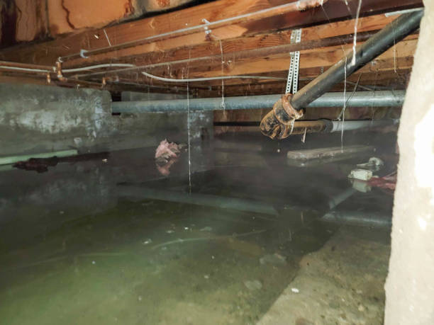 Best Water damage restoration company  in Bowling Green, MO