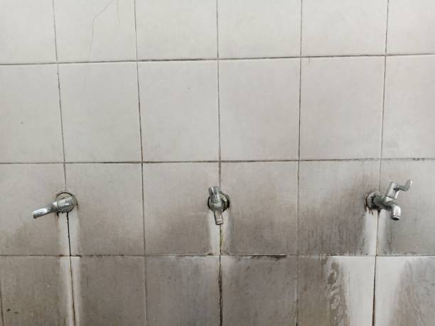 Water damage restoration mold remediation in Bowling Green, MO