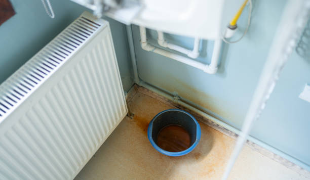 Best Carpet water damage restoration  in Bowling Green, MO