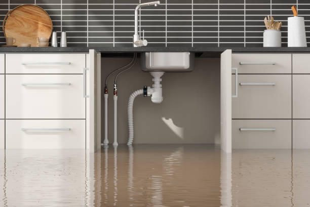 Best 24/7 water damage repair  in Bowling Green, MO