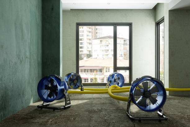 Best 24-hour water damage restoration  in Bowling Green, MO